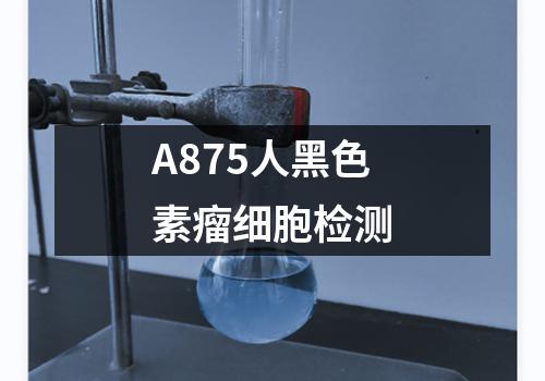 A875人黑色素瘤细胞检测