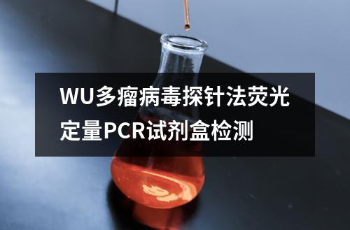 WU多瘤病毒探针法荧光定量PCR试剂盒检测