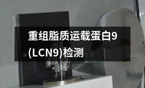 重组脂质运载蛋白9(LCN9)检测