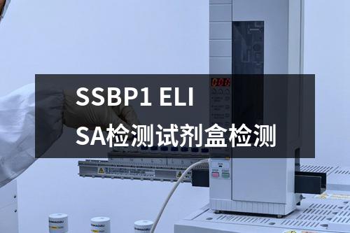 SSBP1 ELISA检测试剂盒检测