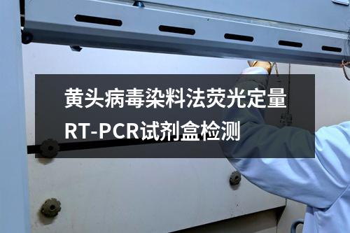 黄头病毒染料法荧光定量RT-PCR试剂盒检测