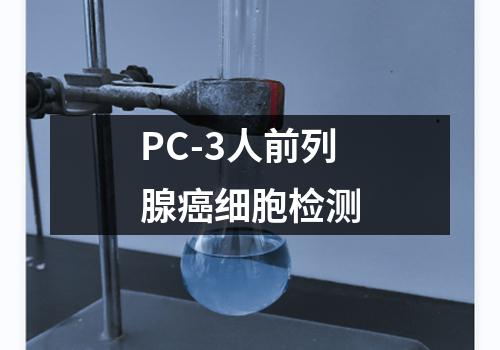 PC-3人前列腺癌细胞检测