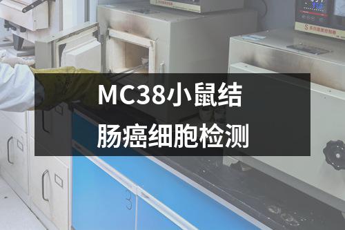 MC38小鼠结肠癌细胞检测