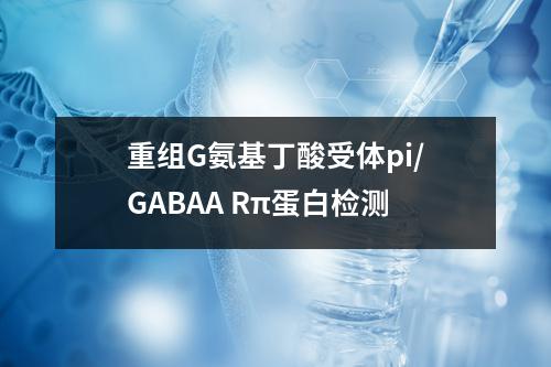 重组G氨基丁酸受体pi/GABAA Rπ蛋白检测