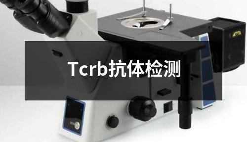 Tcrb抗体检测