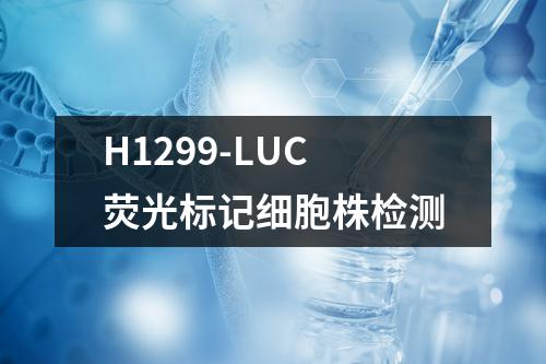 H1299-LUC荧光标记细胞株检测