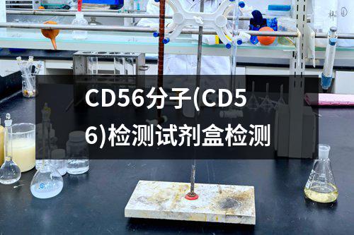 CD56分子(CD56)检测试剂盒检测