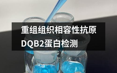 重组组织相容性抗原DQB2蛋白检测