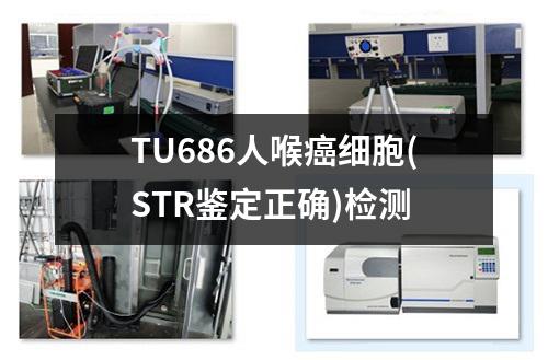 TU686人喉癌细胞(STR鉴定正确)检测