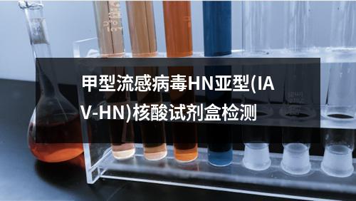 甲型流感病毒HN亚型(IAV-HN)核酸试剂盒检测