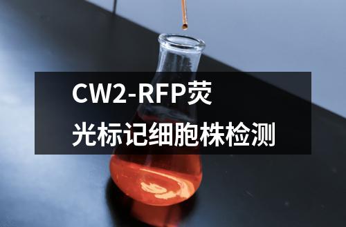 CW2-RFP荧光标记细胞株检测