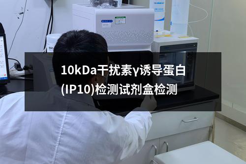 10kDa干扰素γ诱导蛋白(IP10)检测试剂盒检测