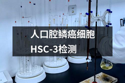 人口腔鳞癌细胞HSC-3检测