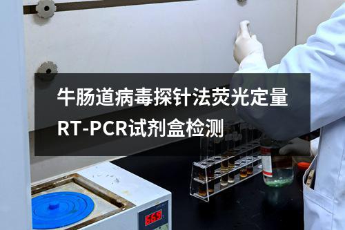 牛肠道病毒探针法荧光定量RT-PCR试剂盒检测