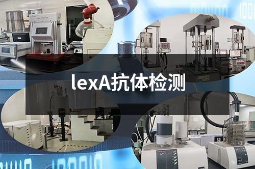 lexA抗体检测