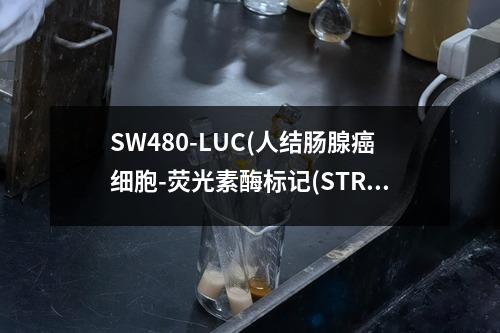 SW480-LUC(人结肠腺癌细胞-荧光素酶标记(STR鉴定正确))检测