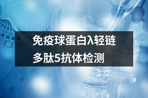 免疫球蛋白λ轻链多肽5抗体检测