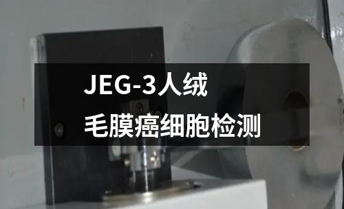 JEG-3人绒毛膜癌细胞检测