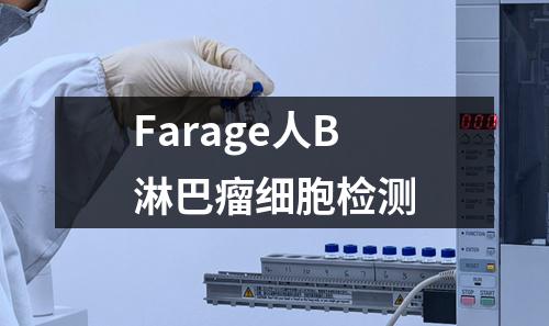 Farage人B淋巴瘤细胞检测