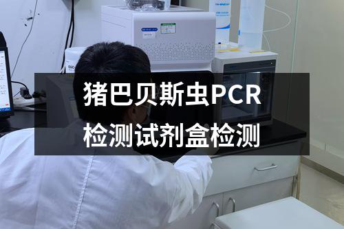 猪巴贝斯虫PCR检测试剂盒检测