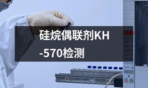 硅烷偶联剂KH-570检测