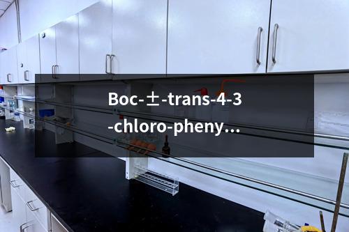 Boc-±-trans-4-3-chloro-phenyl-pyrrolidine-3-carboxylicacid检测