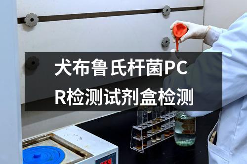 犬布鲁氏杆菌PCR检测试剂盒检测