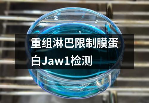 重组淋巴限制膜蛋白Jaw1检测