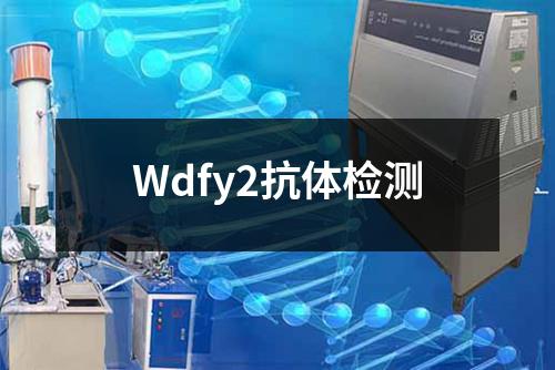 Wdfy2抗体检测