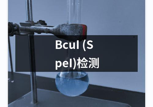 BcuI (SpeI)检测