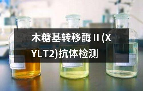 木糖基转移酶Ⅱ(XYLT2)抗体检测