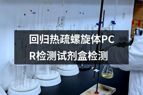 回归热疏螺旋体PCR检测试剂盒检测