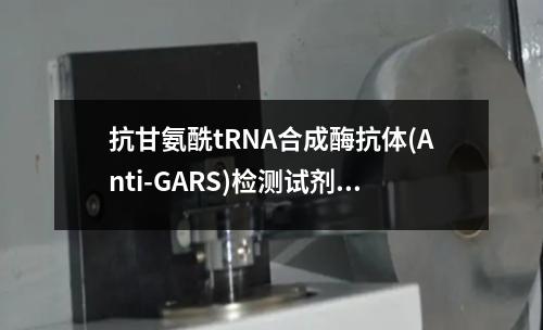 抗甘氨酰tRNA合成酶抗体(Anti-GARS)检测试剂盒检测