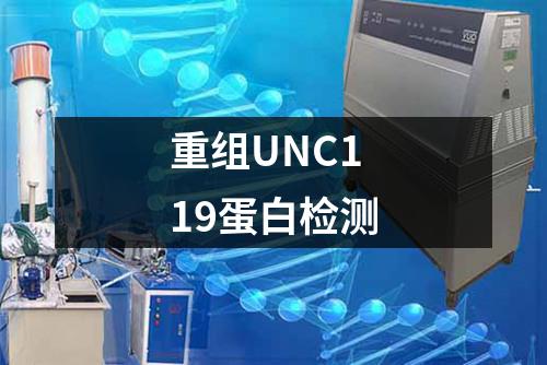 重组UNC119蛋白检测