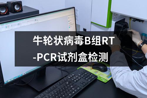 牛轮状病毒B组RT-PCR试剂盒检测