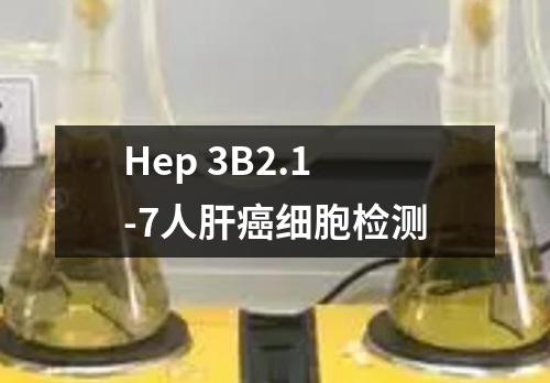 Hep 3B2.1-7人肝癌细胞检测