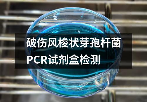 破伤风梭状芽孢杆菌PCR试剂盒检测