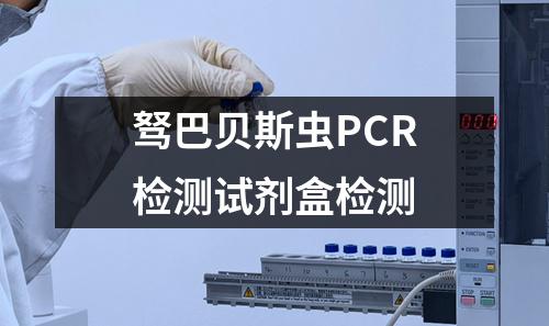 驽巴贝斯虫PCR检测试剂盒检测