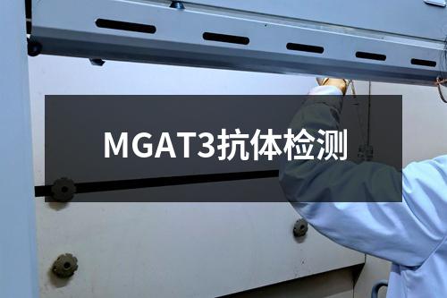 MGAT3抗体检测