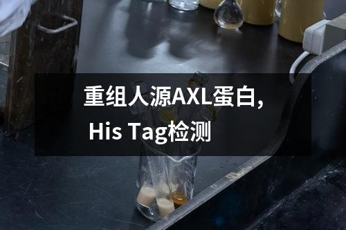 重组人源AXL蛋白, His Tag检测