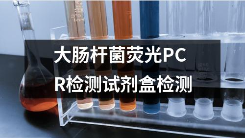 大肠杆菌荧光PCR检测试剂盒检测