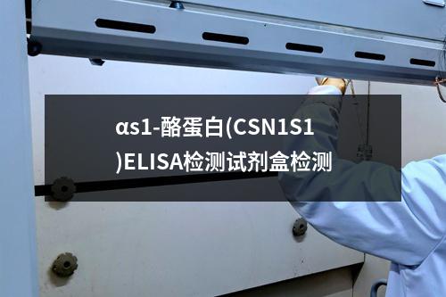 αs1-酪蛋白(CSN1S1)ELISA检测试剂盒检测