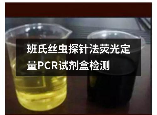 班氏丝虫探针法荧光定量PCR试剂盒检测