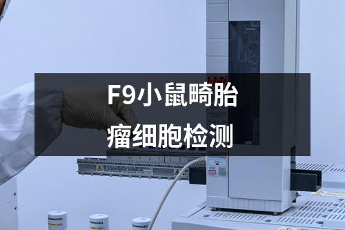 F9小鼠畸胎瘤细胞检测