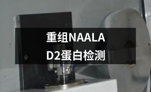 重组NAALAD2蛋白检测