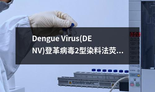 Dengue Virus(DENV)登革病毒2型染料法荧光定量RT-PCR试剂盒检测