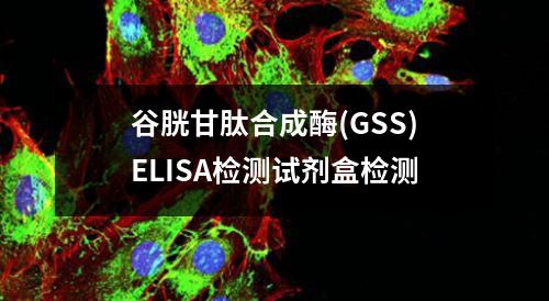 谷胱甘肽合成酶(GSS)ELISA检测试剂盒检测