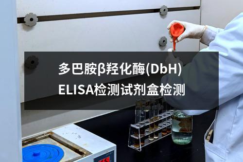 多巴胺β羟化酶(DbH)ELISA检测试剂盒检测