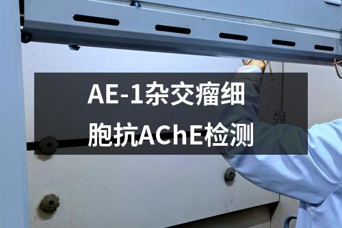 AE-1杂交瘤细胞抗AChE检测