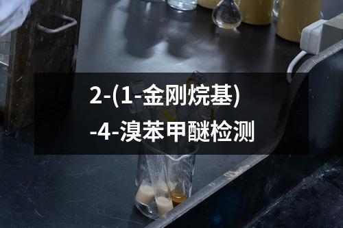 2-(1-金刚烷基)-4-溴苯甲醚检测